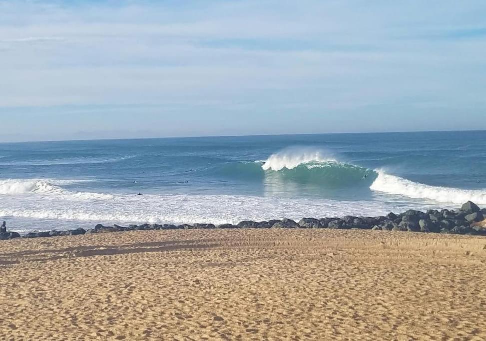 Appartement A 70M De La Plage Et L Estacade De Capbreton Zewnętrze zdjęcie